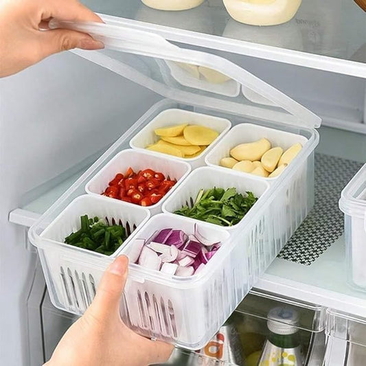 Ravexa Refrigerator Food Storage Box with 6-Grid Organizer Fresh Box (Pack of 1)